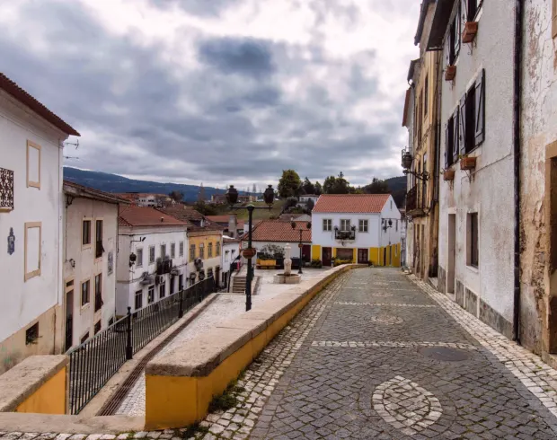 Uma consultoria feita para proprietários