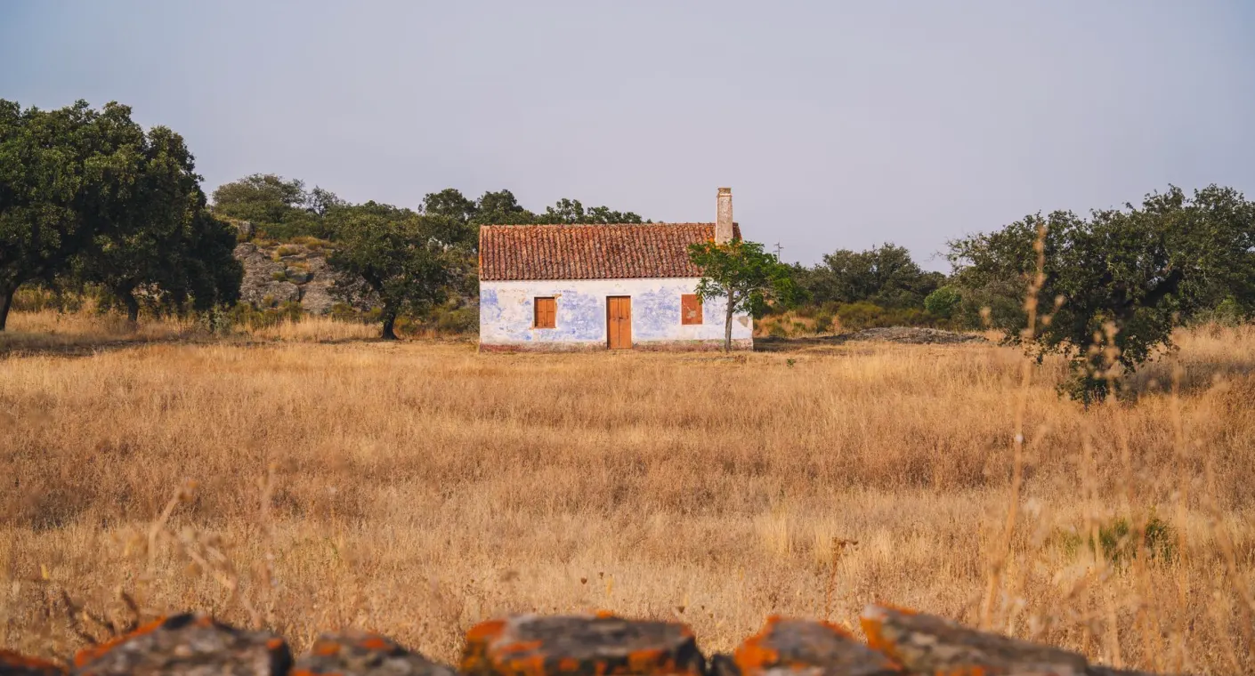 Análise de imóvel: o que observar na casa antes do inverno